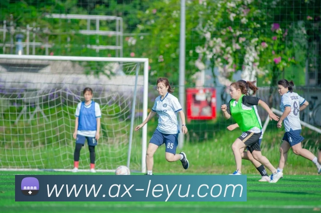 App Interface Preview