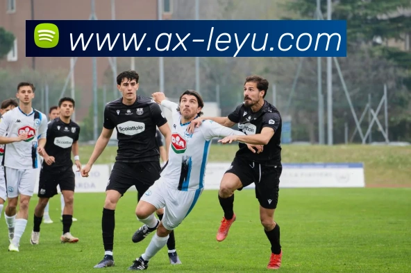 乐鱼体育APP 封面图